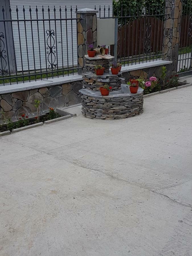 莫伊塞 Popasul Calatorului酒店 外观 照片